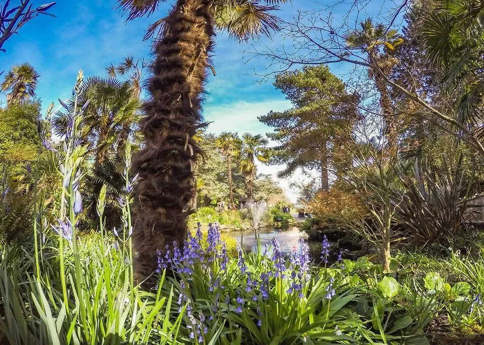 Bournecoast - Lovely Two Bedroom Victorian Holiday Home - Garden - Wifi - Hb8500 Bournemouth